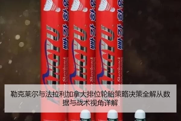 lei-ke-lai-er-yu-fa-la-li-jia-na-da-pai-wei-lun-tai-ce-lve-jue-ce-quan-jie-cong-shu-ju-yu-zhan-shu-shi-jiao-xiang-jie-2-625.jpg
