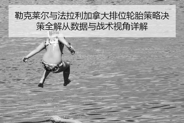 lei-ke-lai-er-yu-fa-la-li-jia-na-da-pai-wei-lun-tai-ce-lve-jue-ce-quan-jie-cong-shu-ju-yu-zhan-shu-shi-jiao-xiang-jie-1-777.jpg